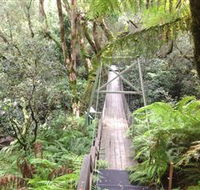 Bemm River Scenic Reserve - Holiday Find