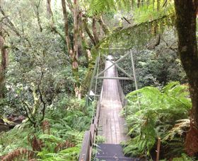Bemm River Scenic Reserve - Holiday Find 0