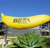 The Big Banana - Holiday Find