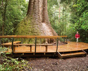 Herons Creek NSW Holiday Find