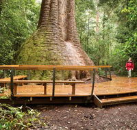 Burrawan State Forest - Holiday Find