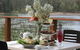 Abundance Lifestyle And Garden - thumb 0