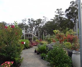Abundance Lifestyle And Garden - Holiday Find 6
