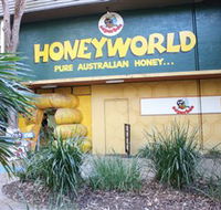 Superbee Honeyworld Gold Coast - Holiday Find