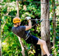 TreeTop Challenge Currumbin - Holiday Find