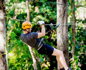 TreeTop Challenge Currumbin - Holiday Find 0
