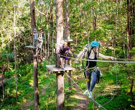 TreeTop Challenge Currumbin - Holiday Find 1