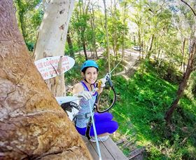 TreeTop Challenge Currumbin - Holiday Find 3