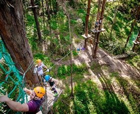 TreeTop Challenge Currumbin - Holiday Find 2