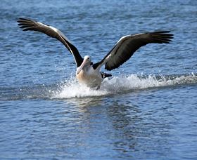 John Barton Photography - Holiday Find 1