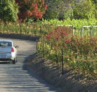 Cassegrain Wines - Holiday Find
