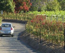 Cassegrain Wines - Holiday Find 0