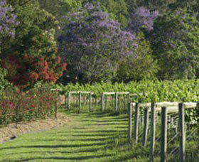 Cassegrain Wines - Holiday Find 1