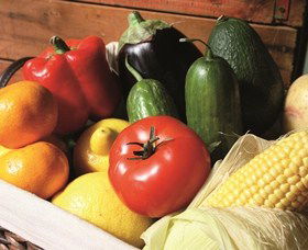 Summerland House Farm - House With No Steps - Holiday Find 1