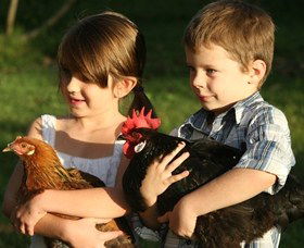 Summerland House Farm - House With No Steps - Holiday Find 2