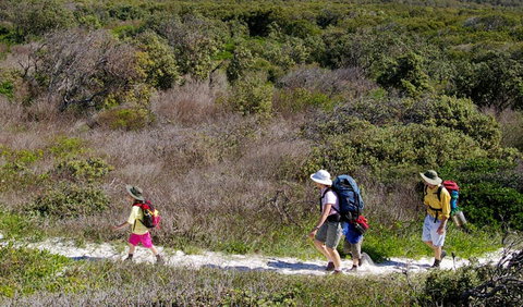 Yuraygir Coastal Walk - Holiday Find 0