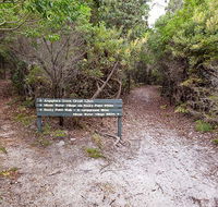 Angophora grove walking track