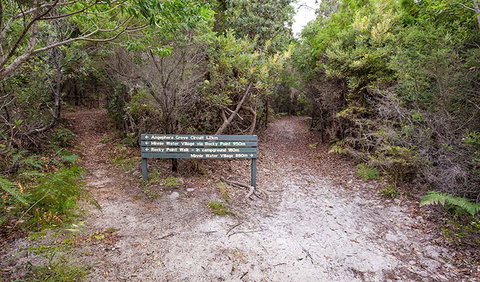 Angophora Grove Walking Track - Holiday Find 0