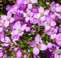 Broadwater National Park - Holiday Find