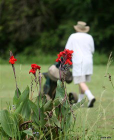Teven Valley Golf Course - Holiday Find 3