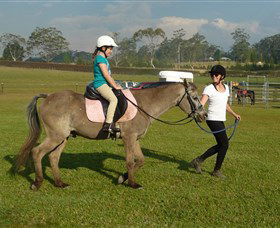 Port Macquarie Horse Riding Centre - Holiday Find 0