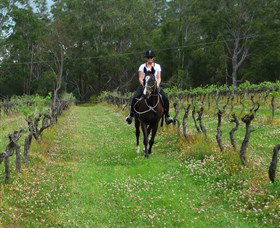 Port Macquarie Horse Riding Centre - Holiday Find 1