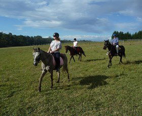 Port Macquarie Horse Riding Centre - Holiday Find 5