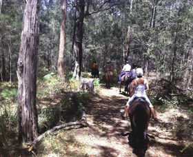 Port Macquarie Horse Riding Centre - Holiday Find 4