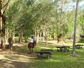 Port Macquarie Horse Riding Centre - Holiday Find 6
