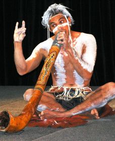 Dhinawan Dreaming - Holiday Find 0