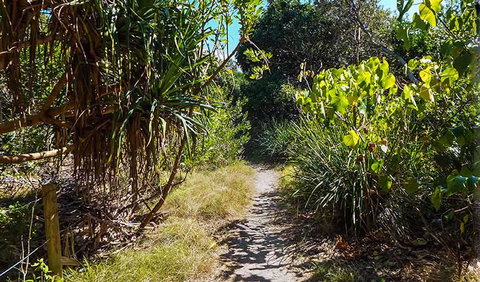 North Head Walking Track - Holiday Find 0