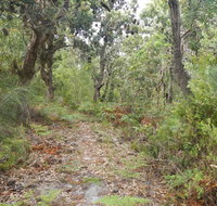Kinchela Trig Lookout walk - Holiday Find