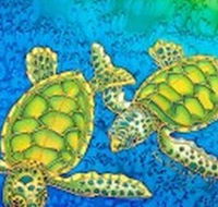 Sea Silks Gallery - Holiday Find