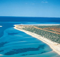 Monkey Mia - Holiday Find