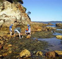 Sapphire Coast Marine Discovery Centre - Holiday Find
