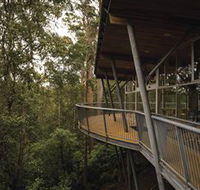 Tarkine Forest Adventures - Dismal Swamp - Holiday Find