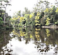 Arthur River - Holiday Find