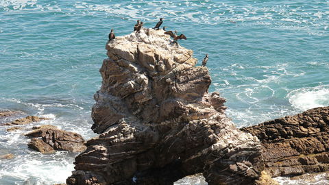 Ben Boyd National Park - Holiday Find 2