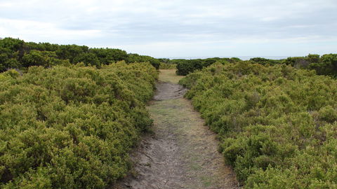 Ben Boyd National Park - Holiday Find 3