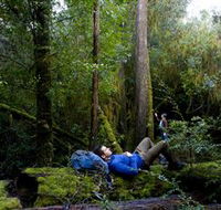 The Tarkine Drive - Holiday Find