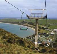 Nut Chairlift - The - Holiday Find