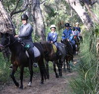 Mirravale Horse Riding School