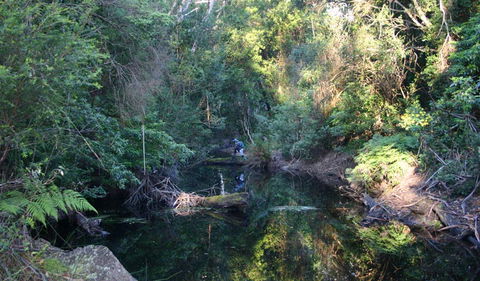 Nadgee Nature Reserve - Holiday Find 2