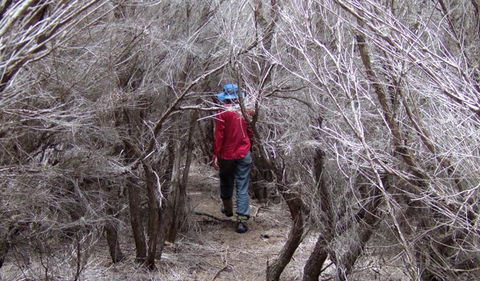 Nadgee Nature Reserve - Holiday Find 3