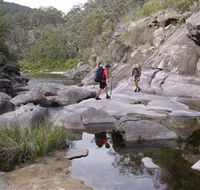 Nadgee Wilderness Walk - Holiday Find