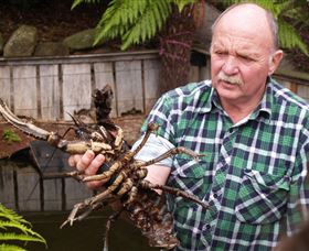 Flowerdale TAS Holiday Find