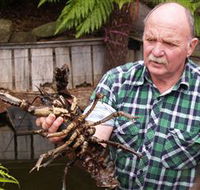 Lobster Ponds - Holiday Find