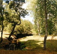 Oldina Picnic Area - Holiday Find