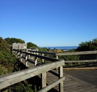 Lillico Beach - Holiday Find