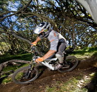All Terrain Cycles - Holiday Find